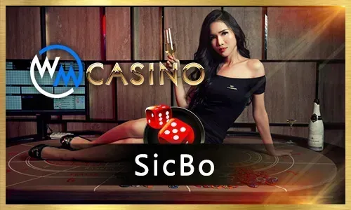 Immersive Live Casino Experience